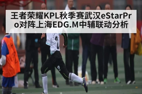 王者荣耀KPL秋季赛武汉eStarPro对阵上海EDG.M中辅联动分析 - kaiyun